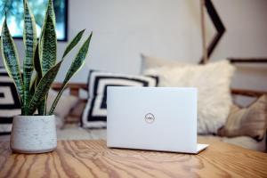 White Dell laptop stands open on a pine desk alongside potplant in living room