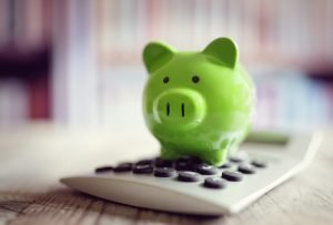 BSPOKE Software - Piggy bank and calculator to represent custom software budget