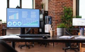 Reporting Software: From Everyday Tools to Custom Solutions